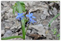 DSC_0004_1286x854.jpg